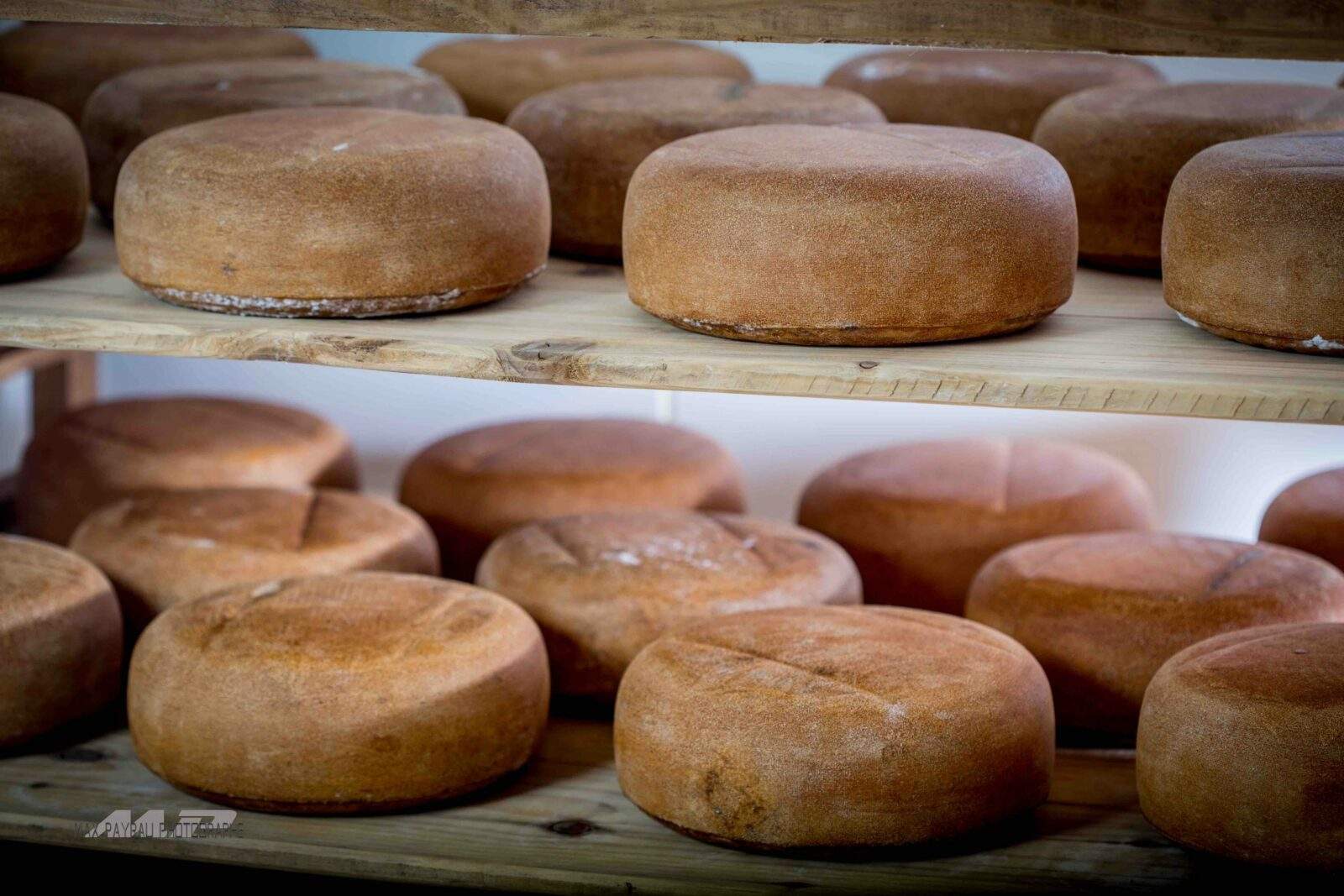 Découvrez nos fromages des Pyrénées