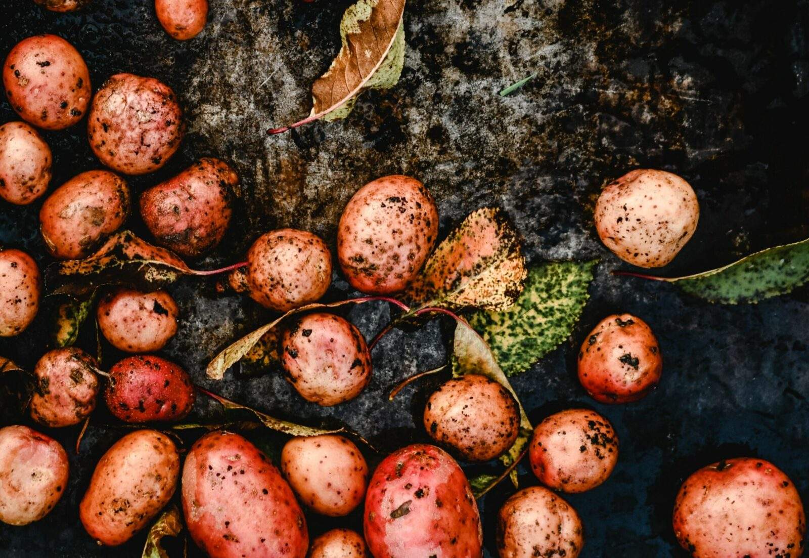 Recette : Saucisses de Morteau au Mont d’Or et pommes de terre gratinées